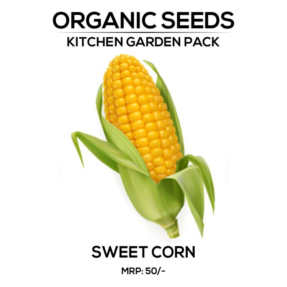 Order organic and best quality Sweet corn Seeds Online at Best Price