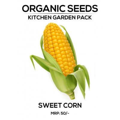 Sweet Corn Seeds