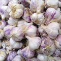 Original Hill Garlic (Naturally Grown)