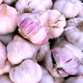 Original Hill Garlic (Naturally Grown)